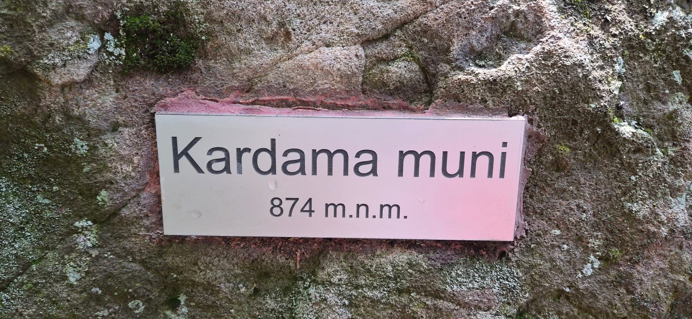 Kardama muni — fotka z okruhu
