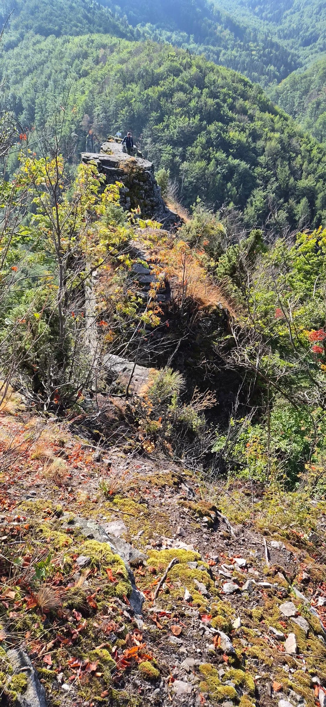 Pohľad pri Novácke skale na skalnú vežu nad dolinou.
